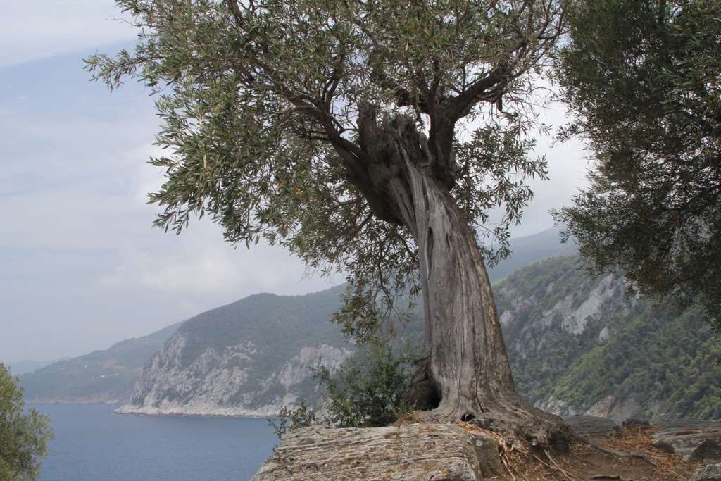 Going Off The&nbsp;Grid