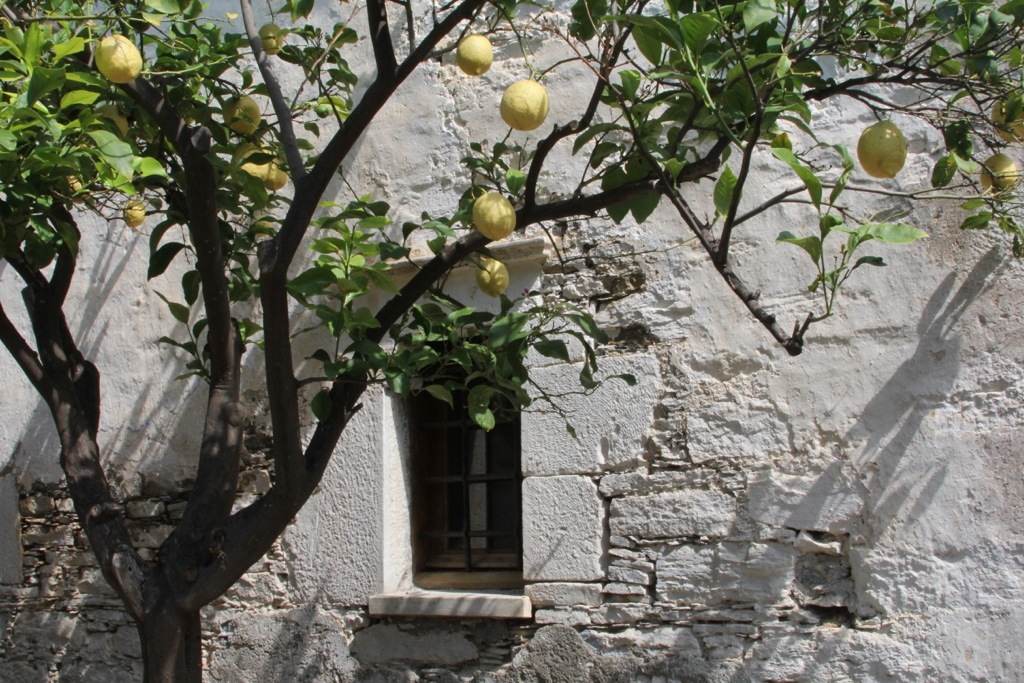 Monastery of the Birth of the&nbsp;Virgin