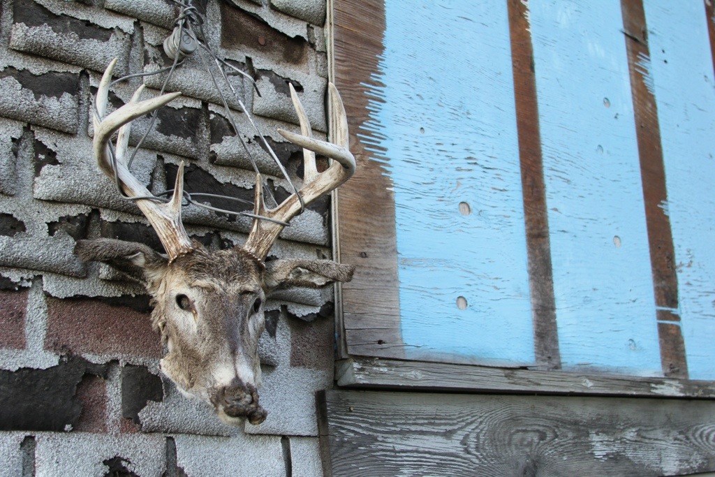 Karl’s Cabin