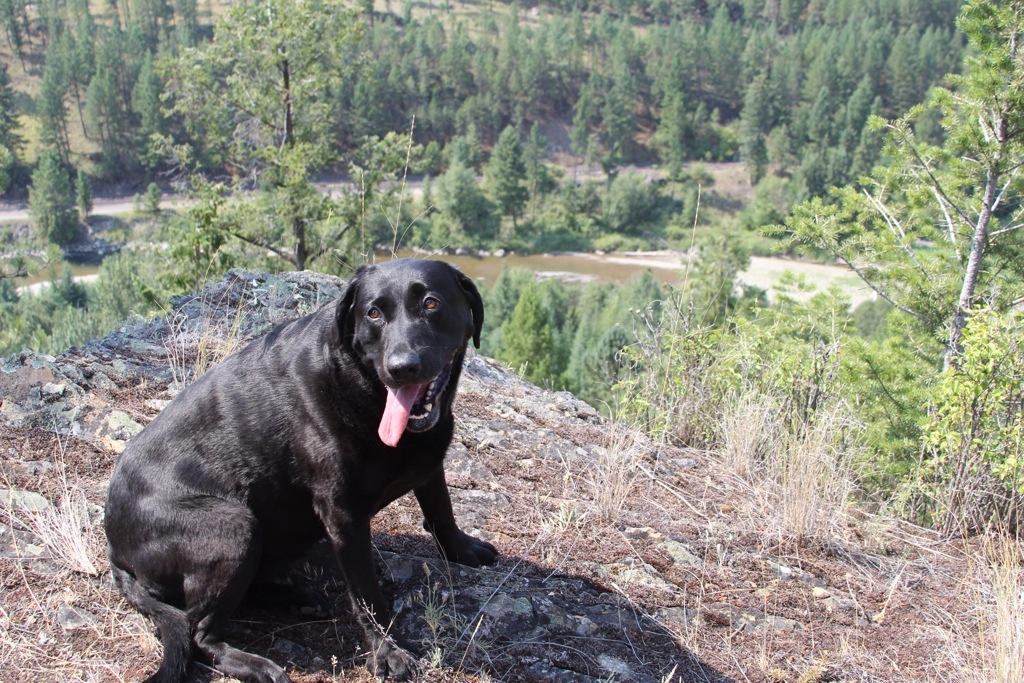 A Dip in Dickey&nbsp;Lake