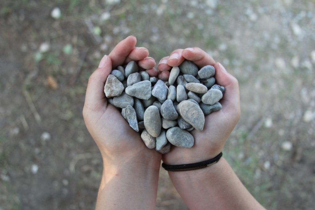 H.A. Brewing Company