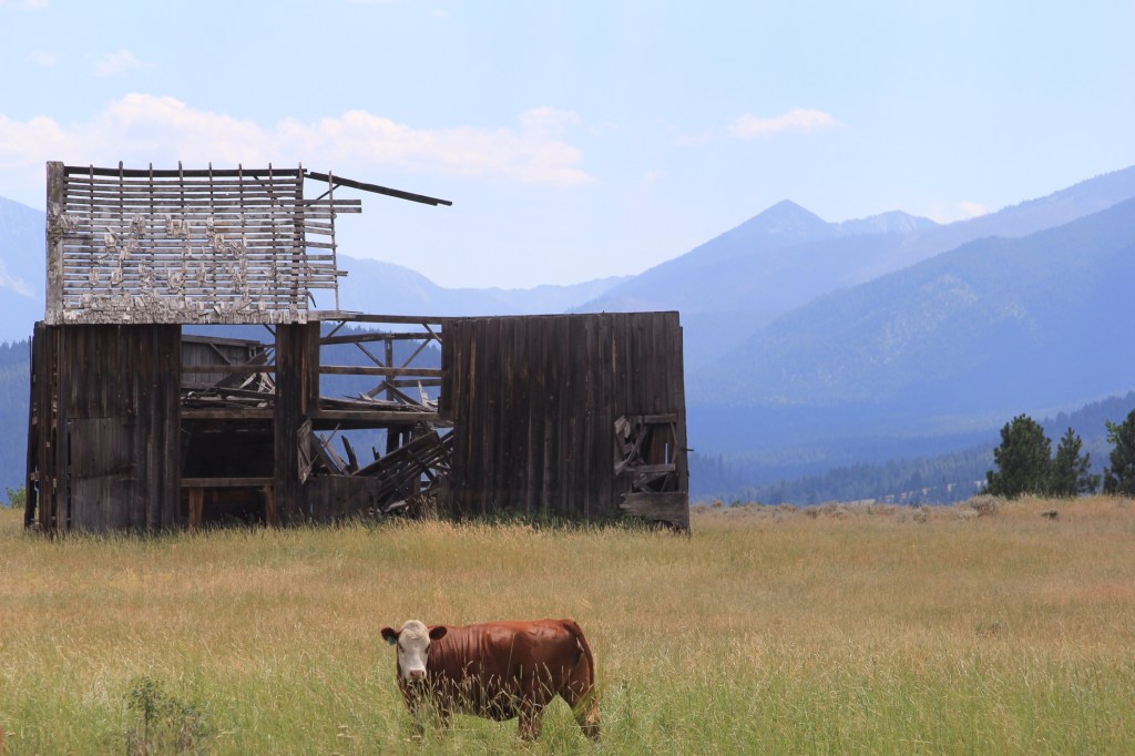 Oregon Trail Day 5: Finding Pilcher Creek&nbsp;Resevoir