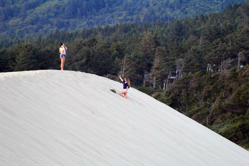 Whales & A Sandy&nbsp;Sunset