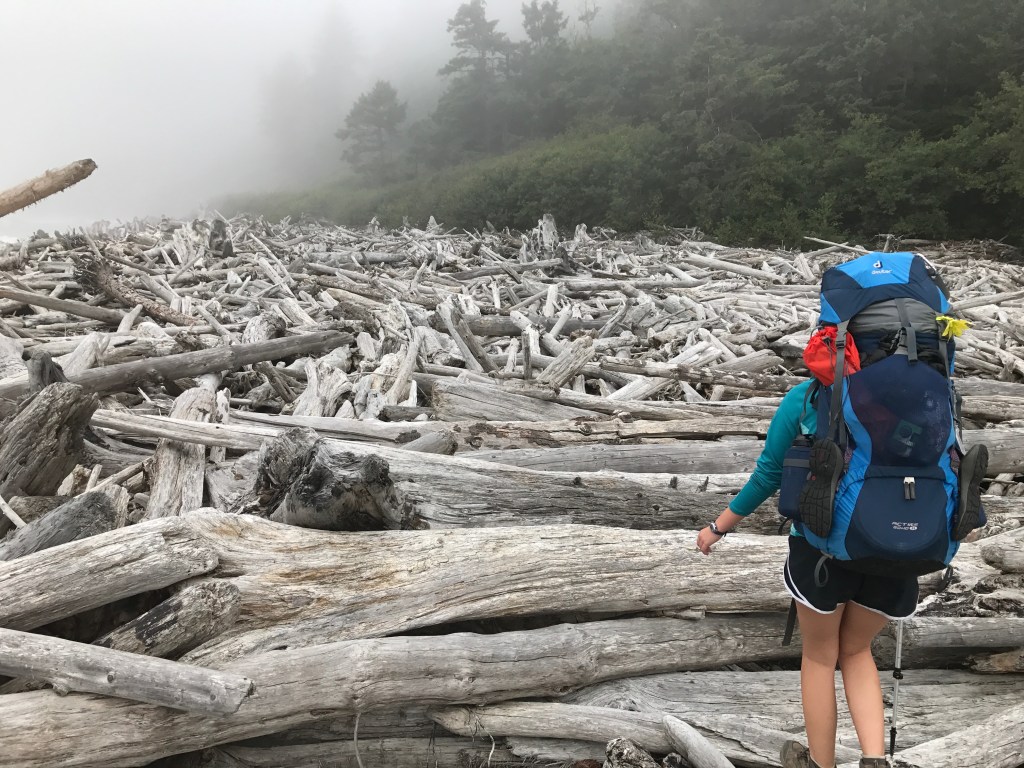 Olympic National Park Day 1: Oil City to Mosquito&nbsp;Creek