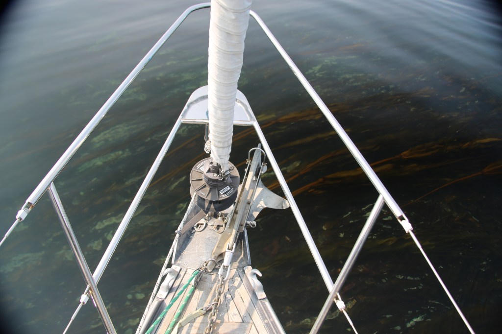 Run Aground and the Hermit of Matia&nbsp;Island