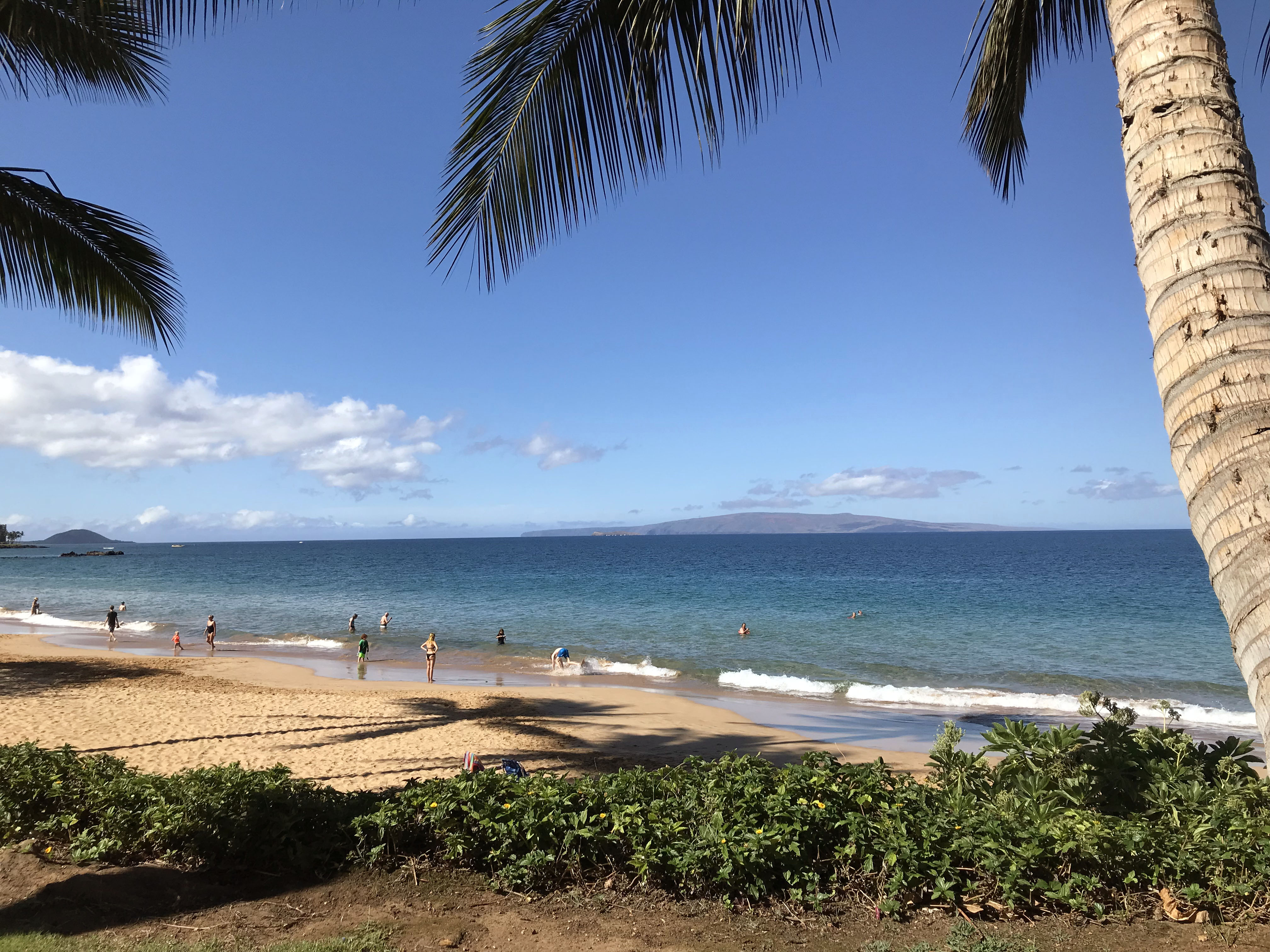 Maui - 6