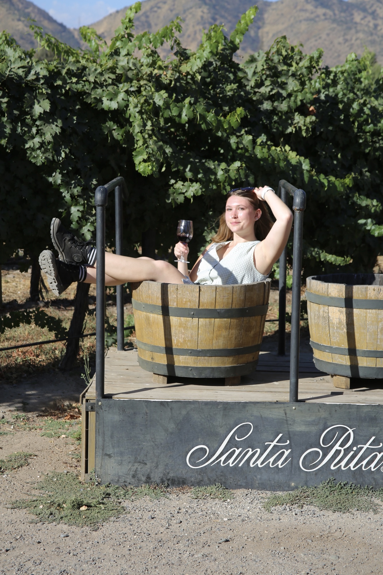 Maipo Valley Wine Tour from Santiago: Pirque Wineries, Chile