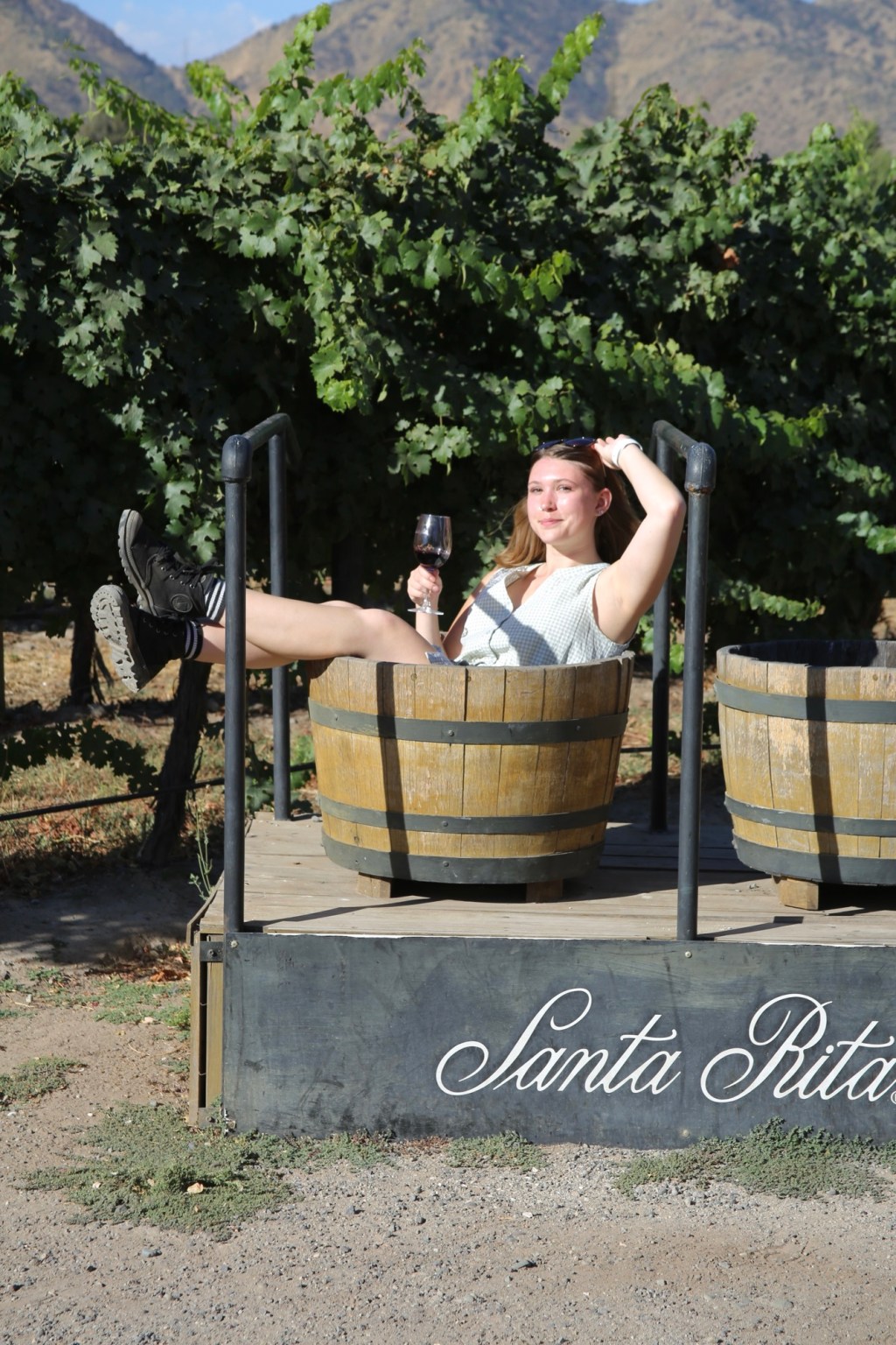 Pirque & Maipo Valley Wine&nbsp;Tours