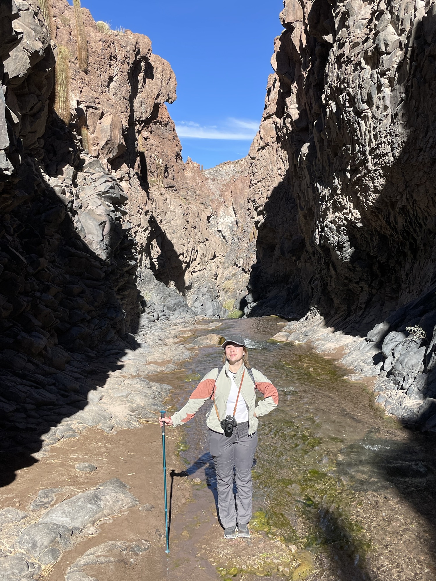 Cactus Valley, Atacama Desert: Hiking Chile’s Desert of Giant Cacti (Day 3)