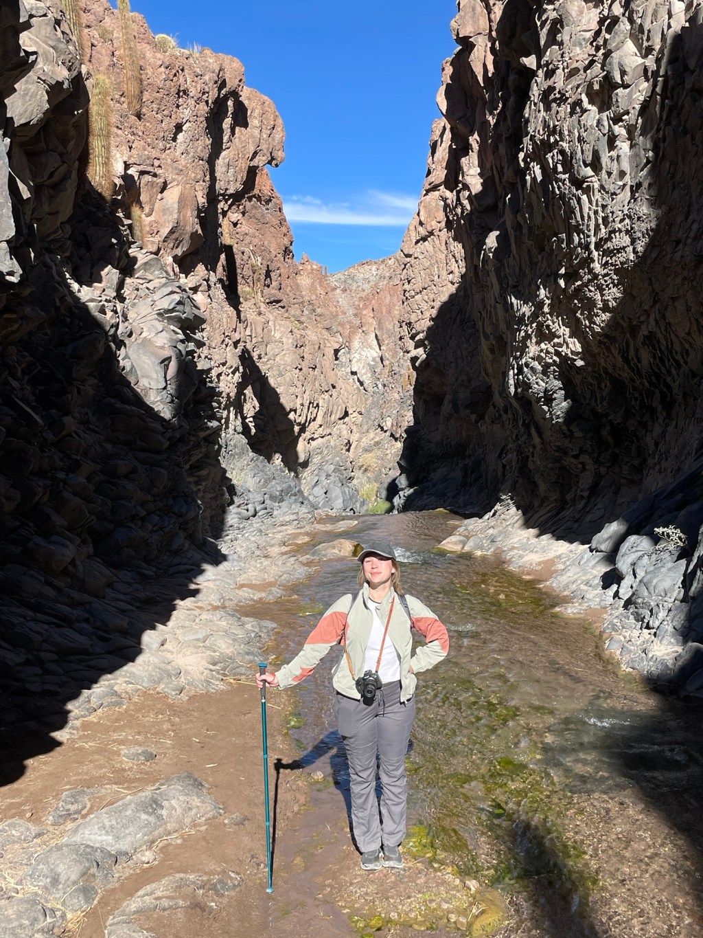 Atacama Desert: Day 3, Hiking Cactus&nbsp;Valley