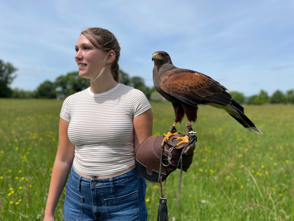 Ireland: Hawkeye School of&nbsp;Falconry
