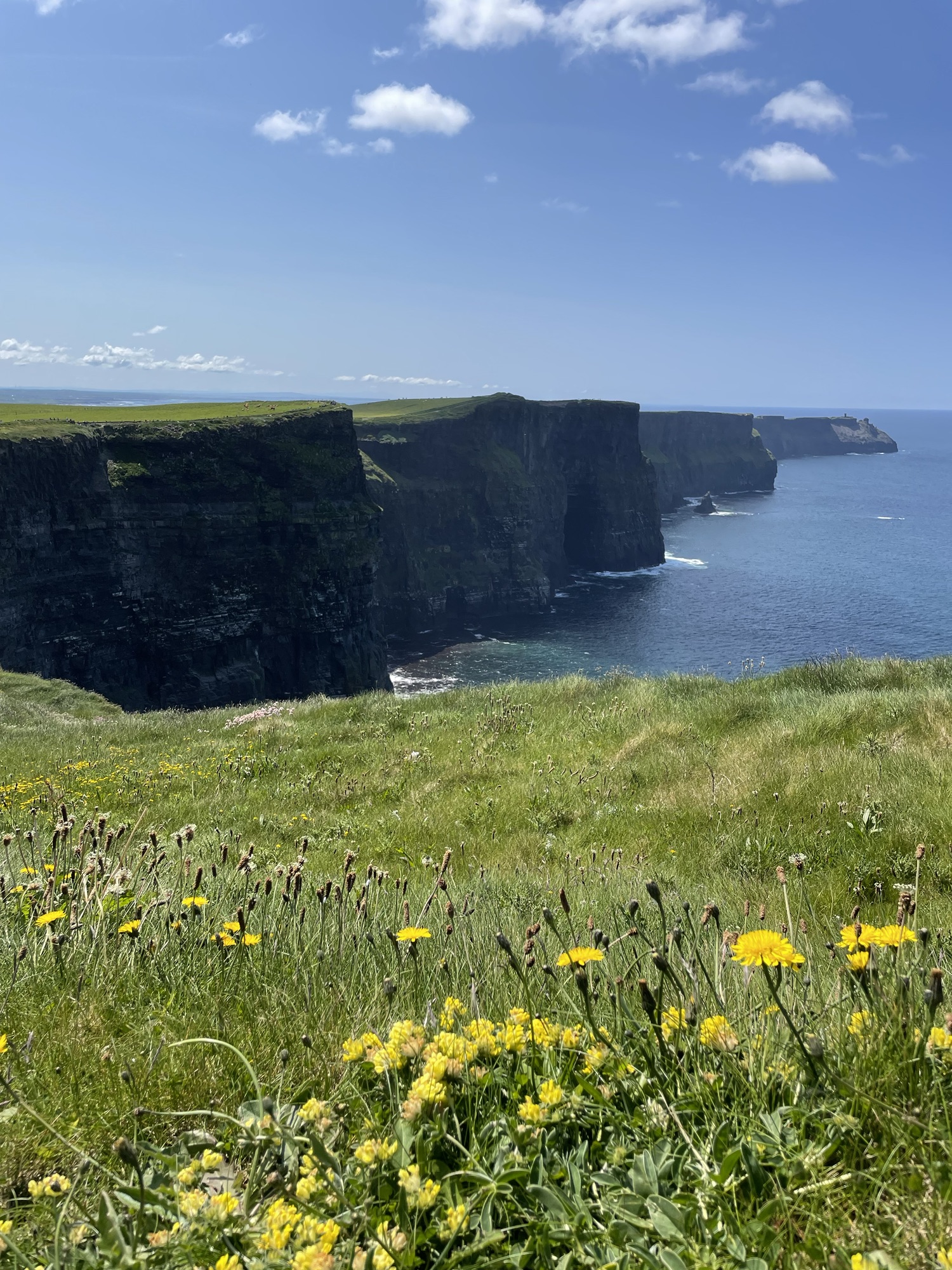 The Cliffs of Insanity!: Cliffs of Moher, Ireland (Princess Bride)