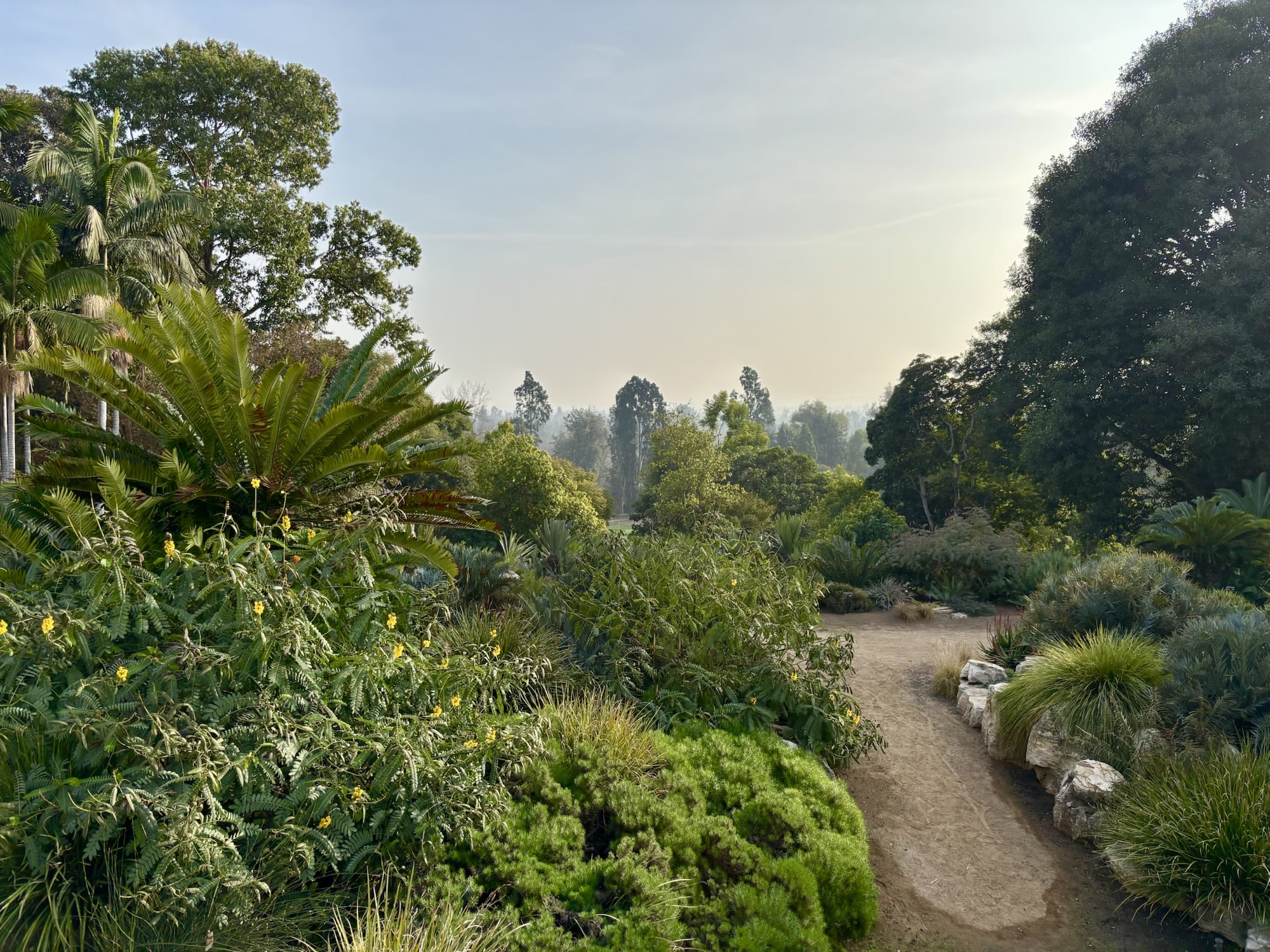 LA: Wandering the World at the Huntington Gardens