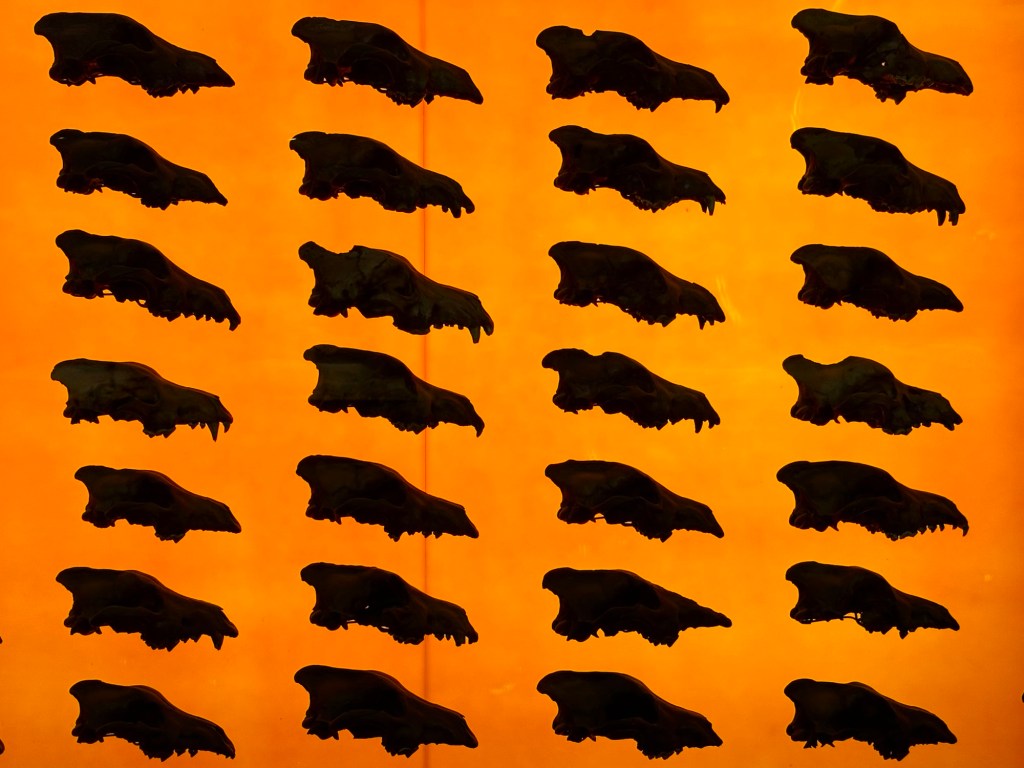 LA: La Brea Tar Pits, LA’s Original Asphalt&nbsp;Jungle.