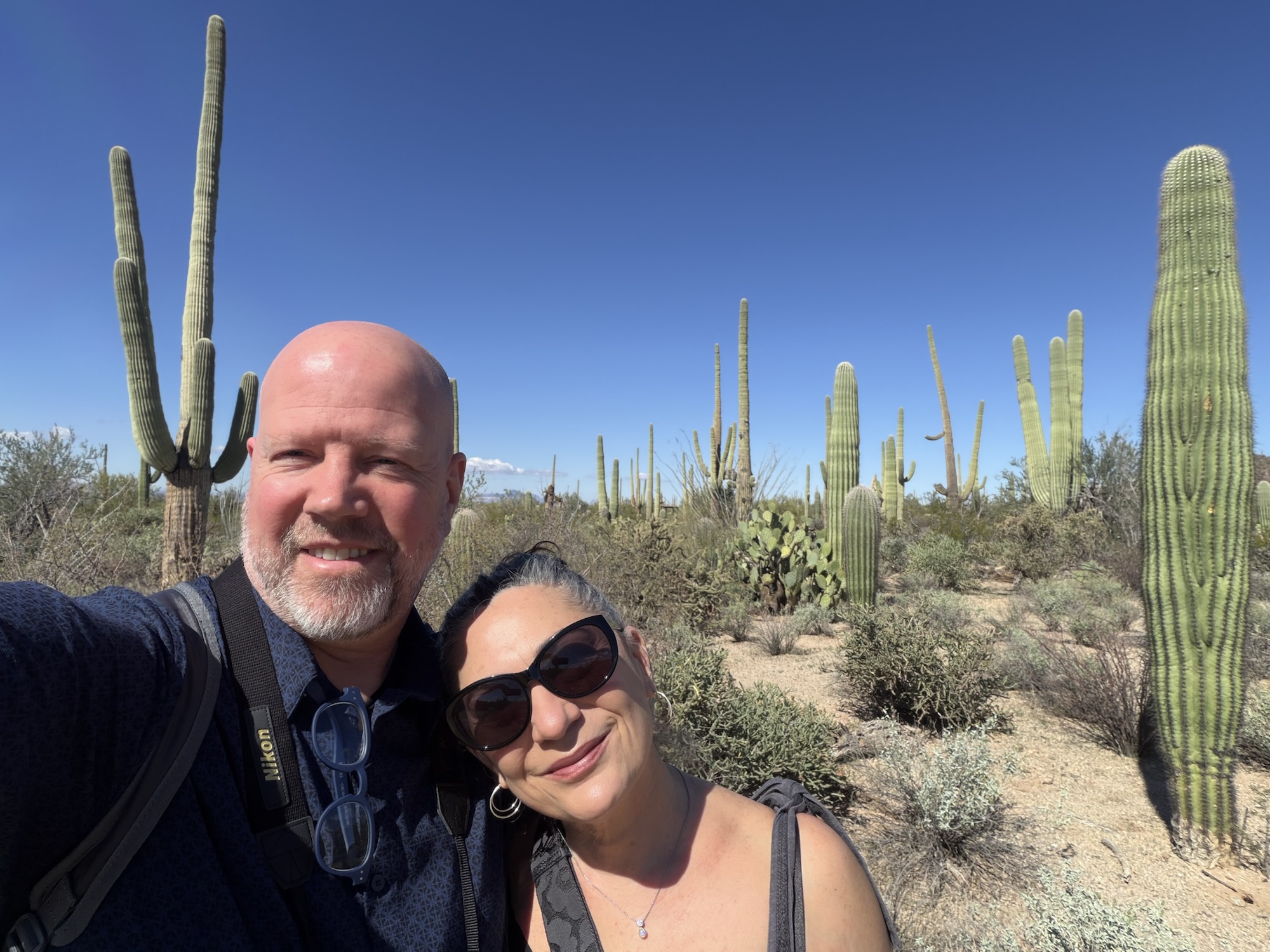Among the Saguaro: Saguaro National Park & The Desert Museum