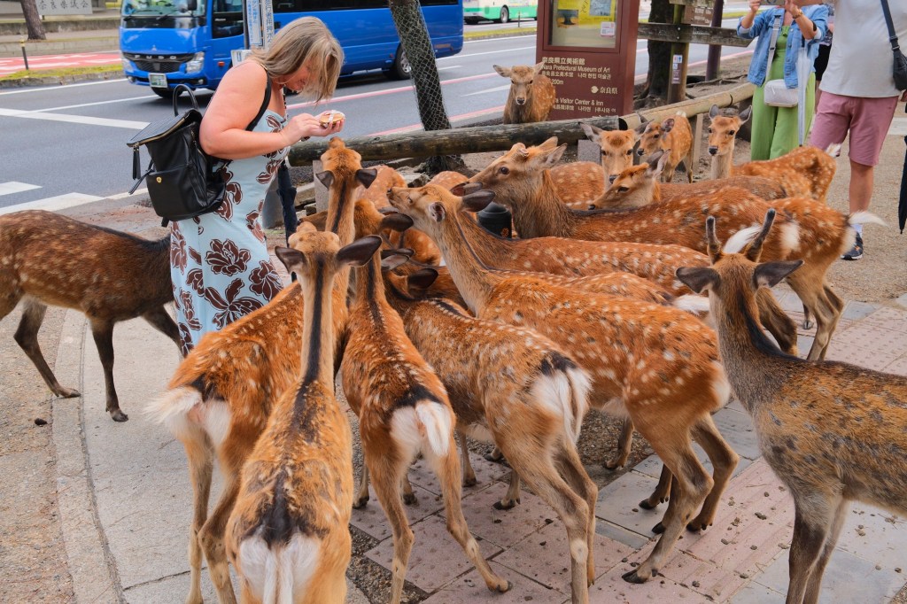 When Vacations Attack! A Gore-geous Day in&nbsp;Nara